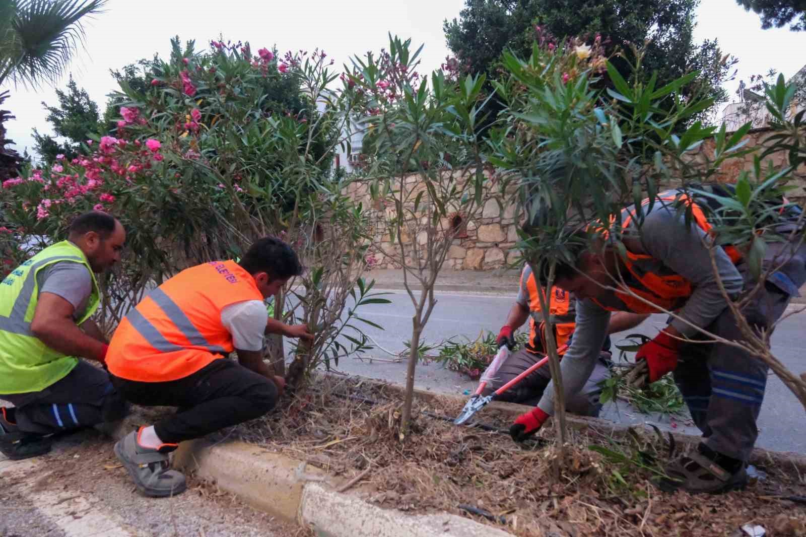 Bodrum Belediyesi ekipleri saha çalışmalarında hız kesmiyor 