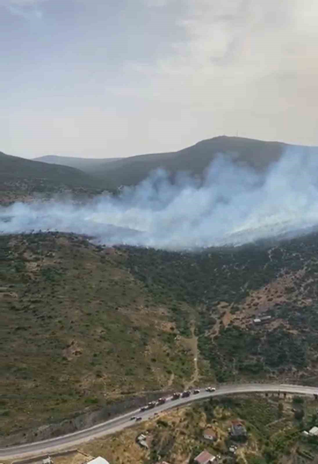 İzmir’de makilik alandaki yangına müdahale sürüyor 