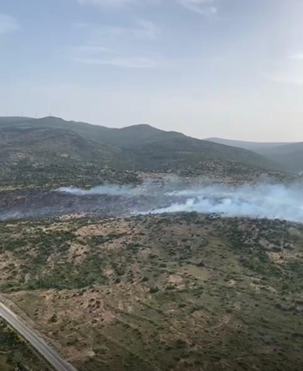 İzmir’de makilik alandaki yangına müdahale sürüyor 