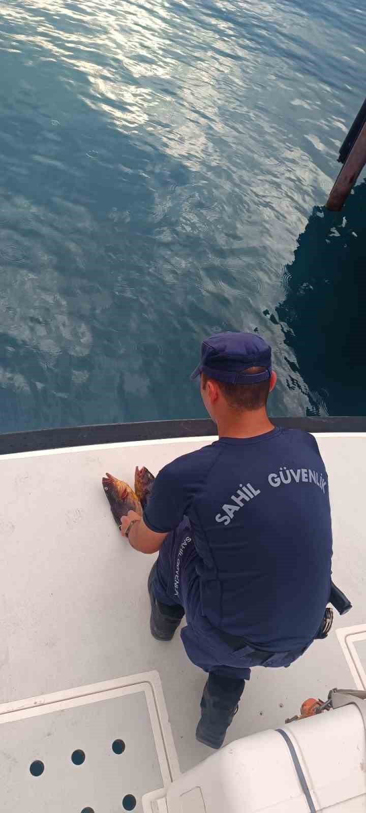 Antalya’da yasa dışı balık avına 31 bin lira ceza 