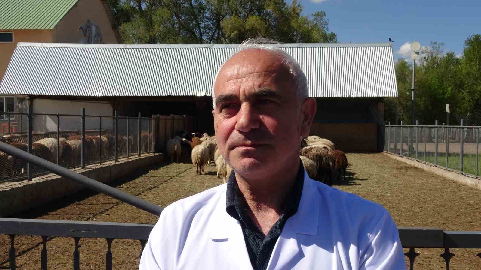 Bunlar da üniversiteli kurbanlıklar 