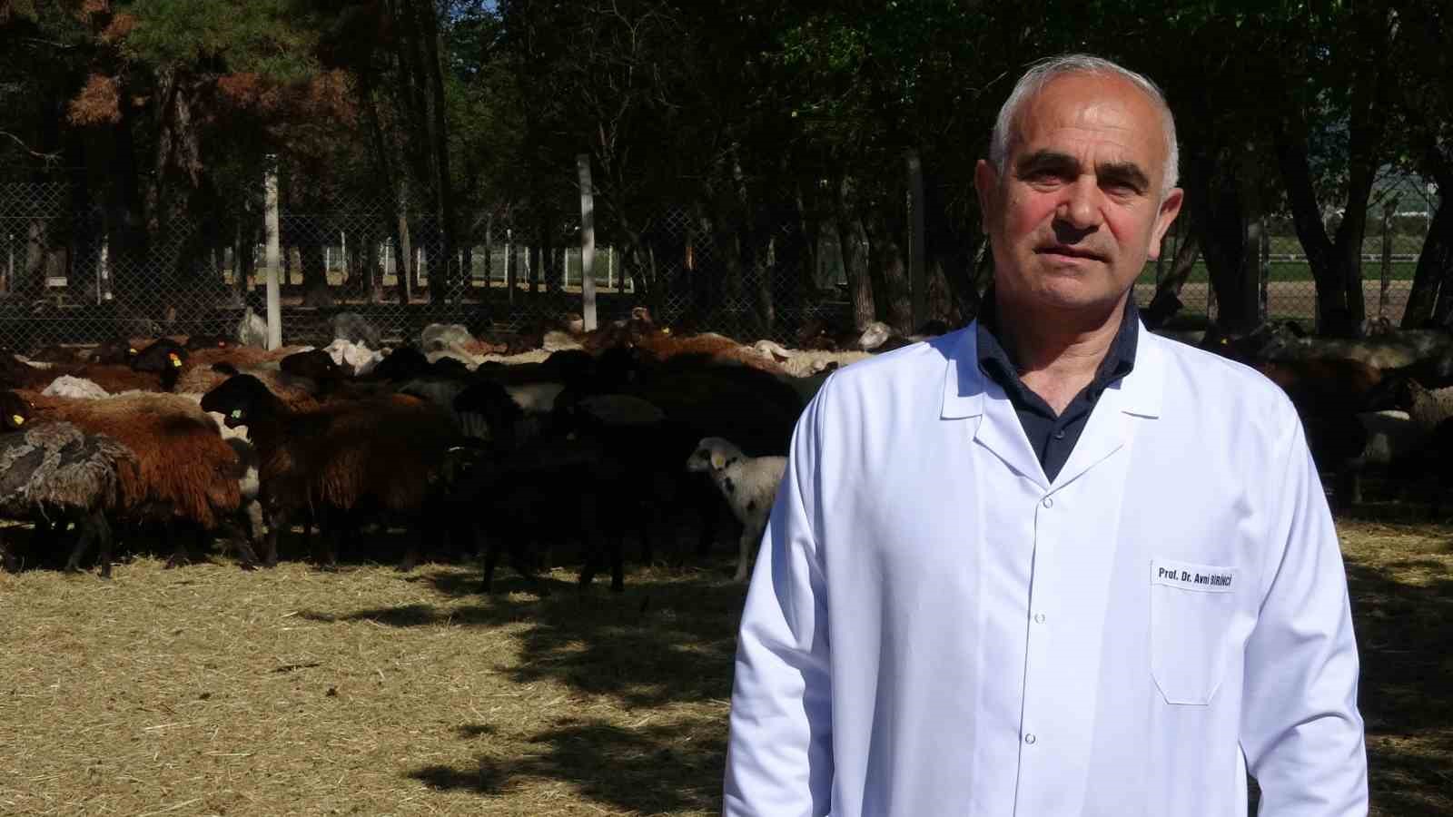 Bunlar da üniversiteli kurbanlıklar 