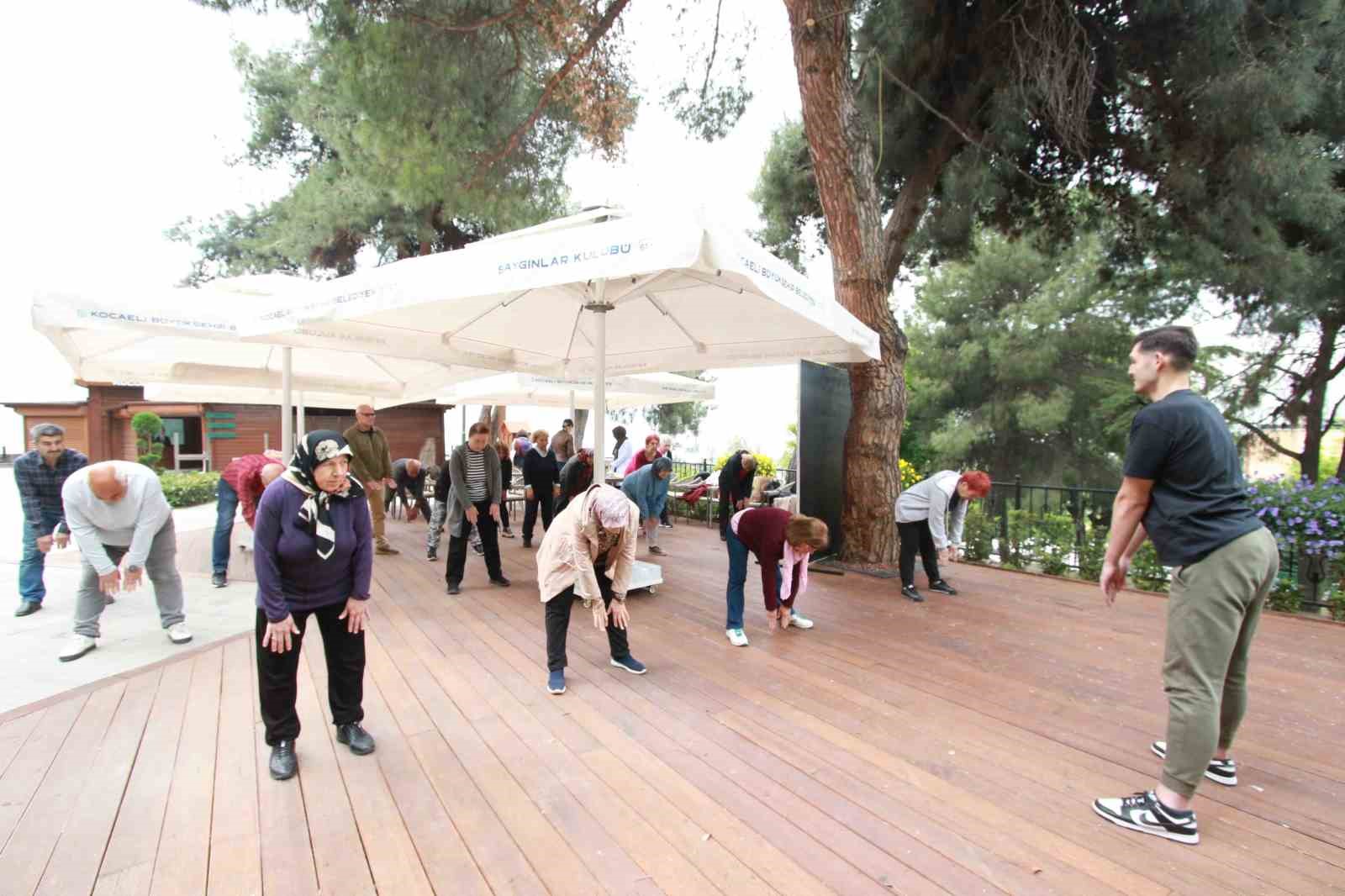 Koca çınarlar sağlıklı yaş alıyor 