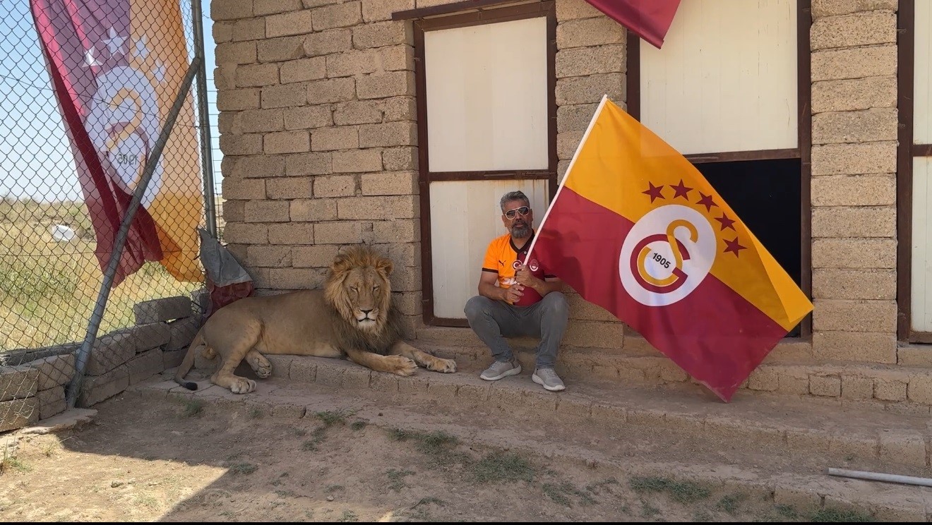 Galatasaraylı taraftar, şampiyonluğu aslanlarıyla kutladı.