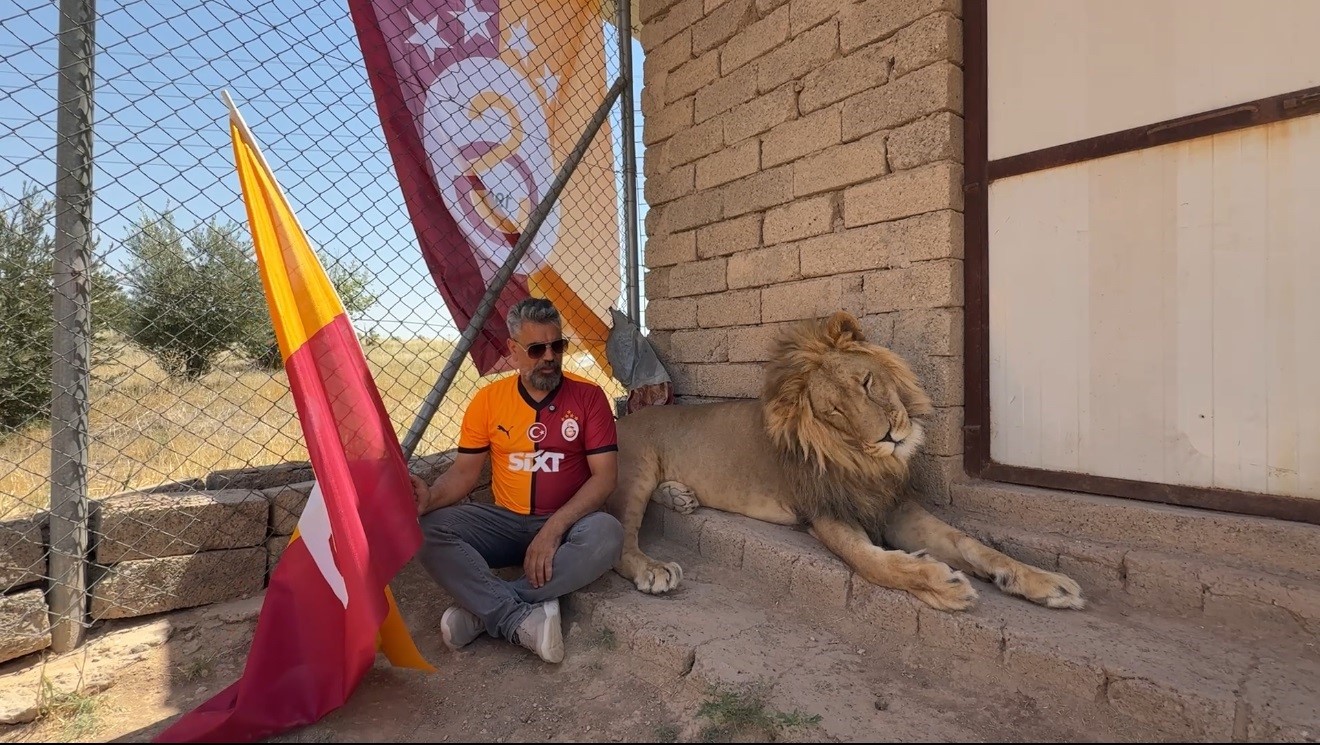 Galatasaraylı taraftar, şampiyonluğu aslanlarıyla kutladı 