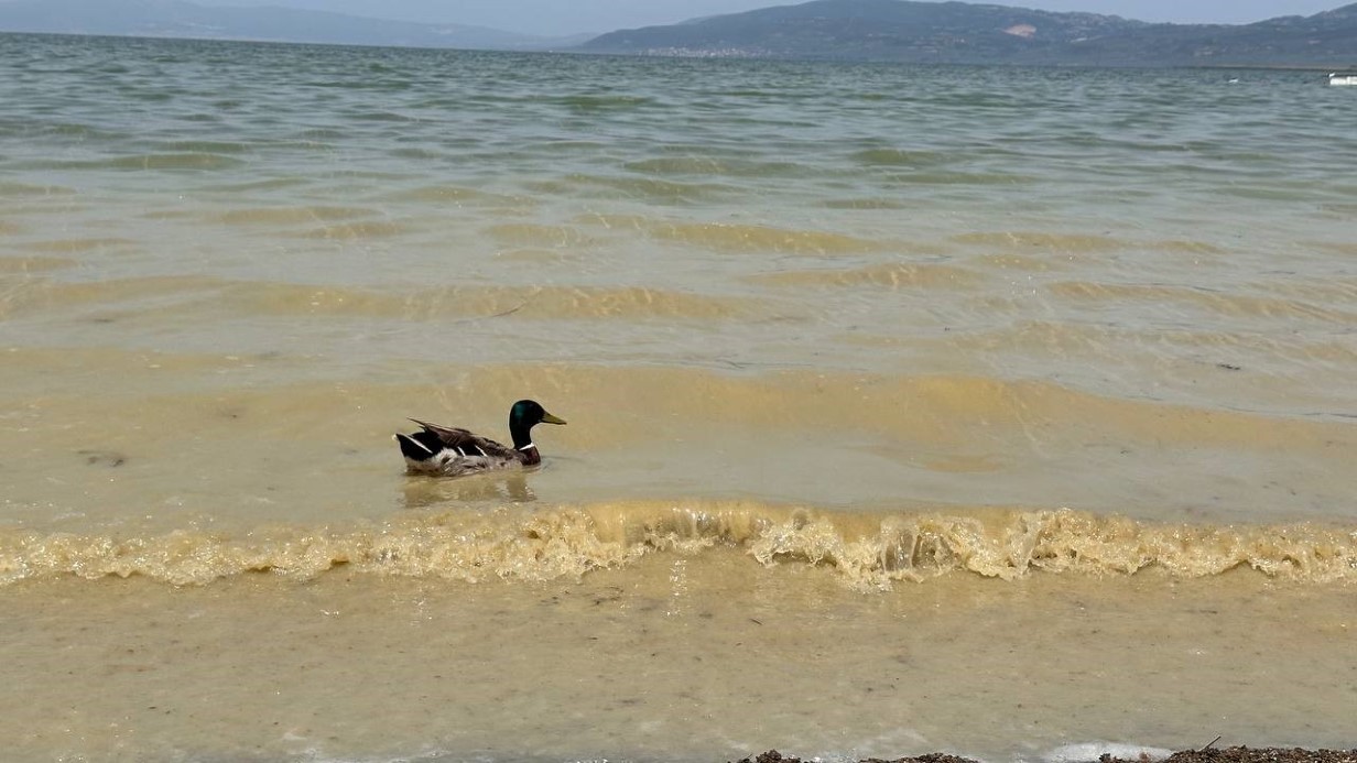 İznik Gölü’nde endişelendiren görüntü..