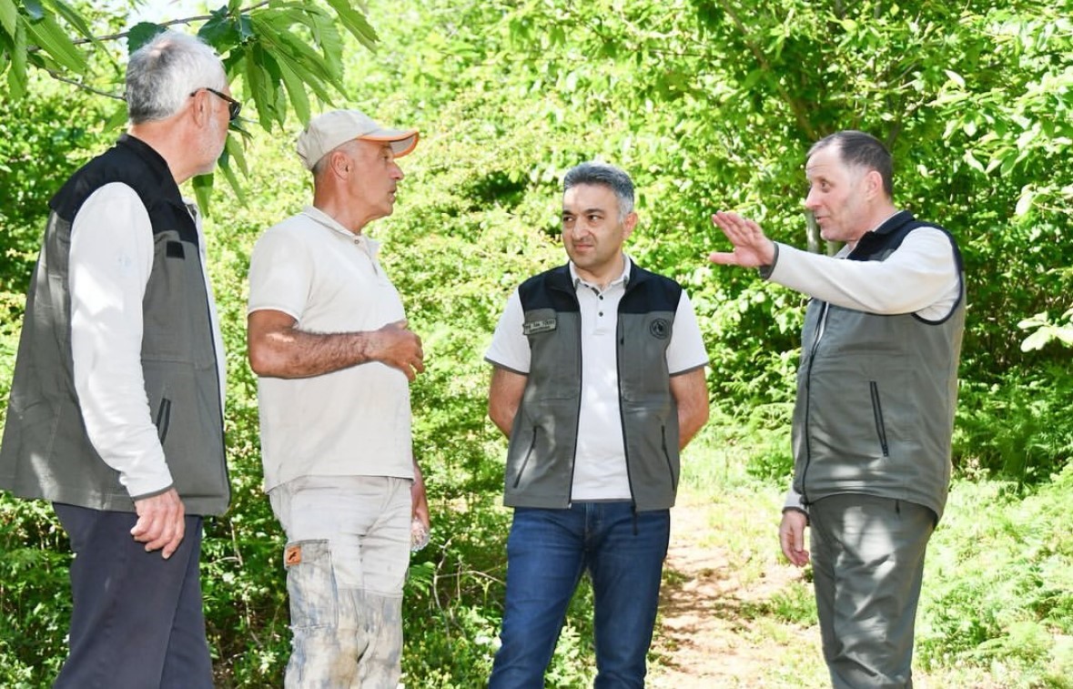 Balıkesir’de Gal Arısıyla mücadele sürüyor 