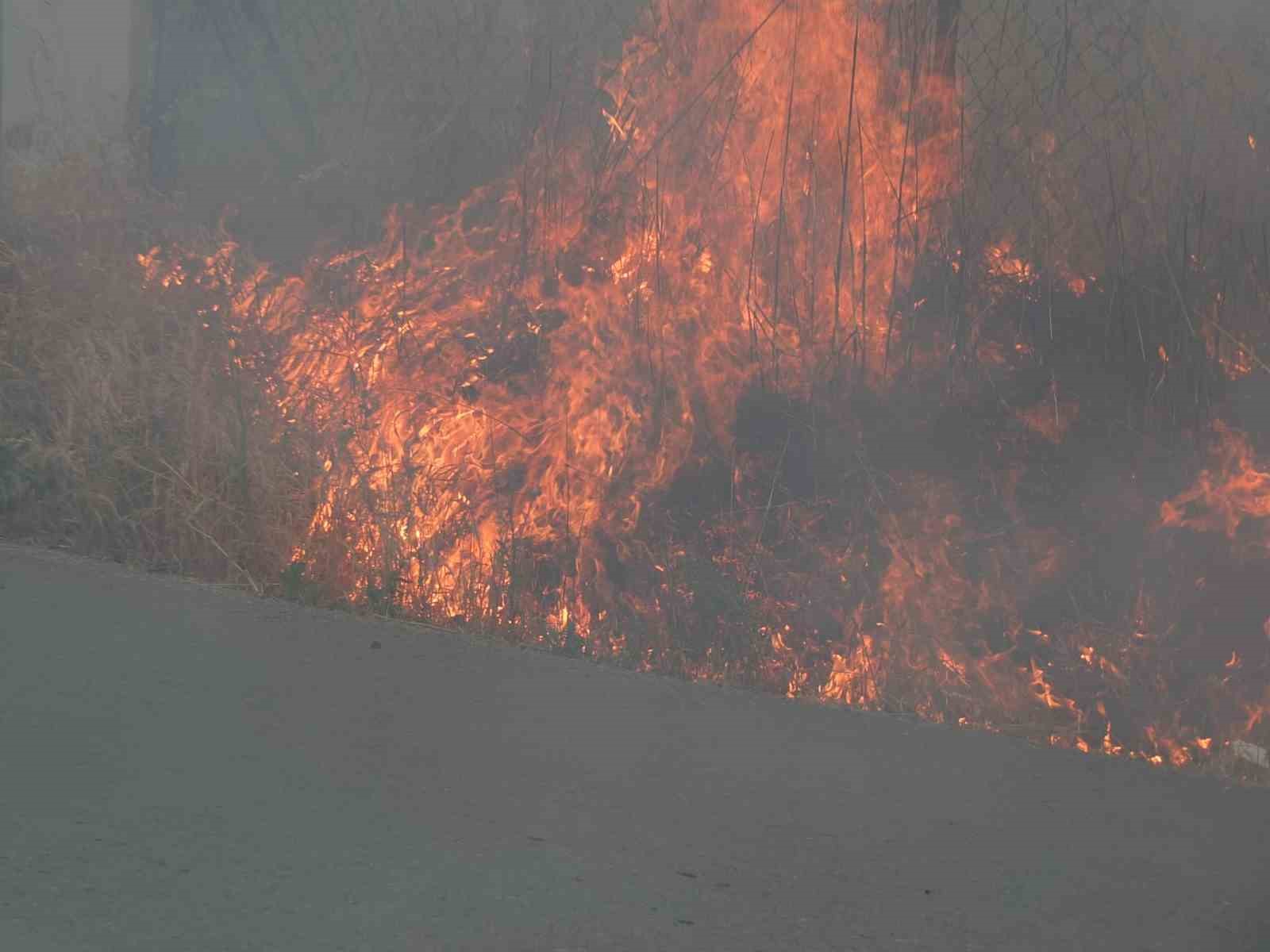 Burhaniye’de ot yangını korkuttu 