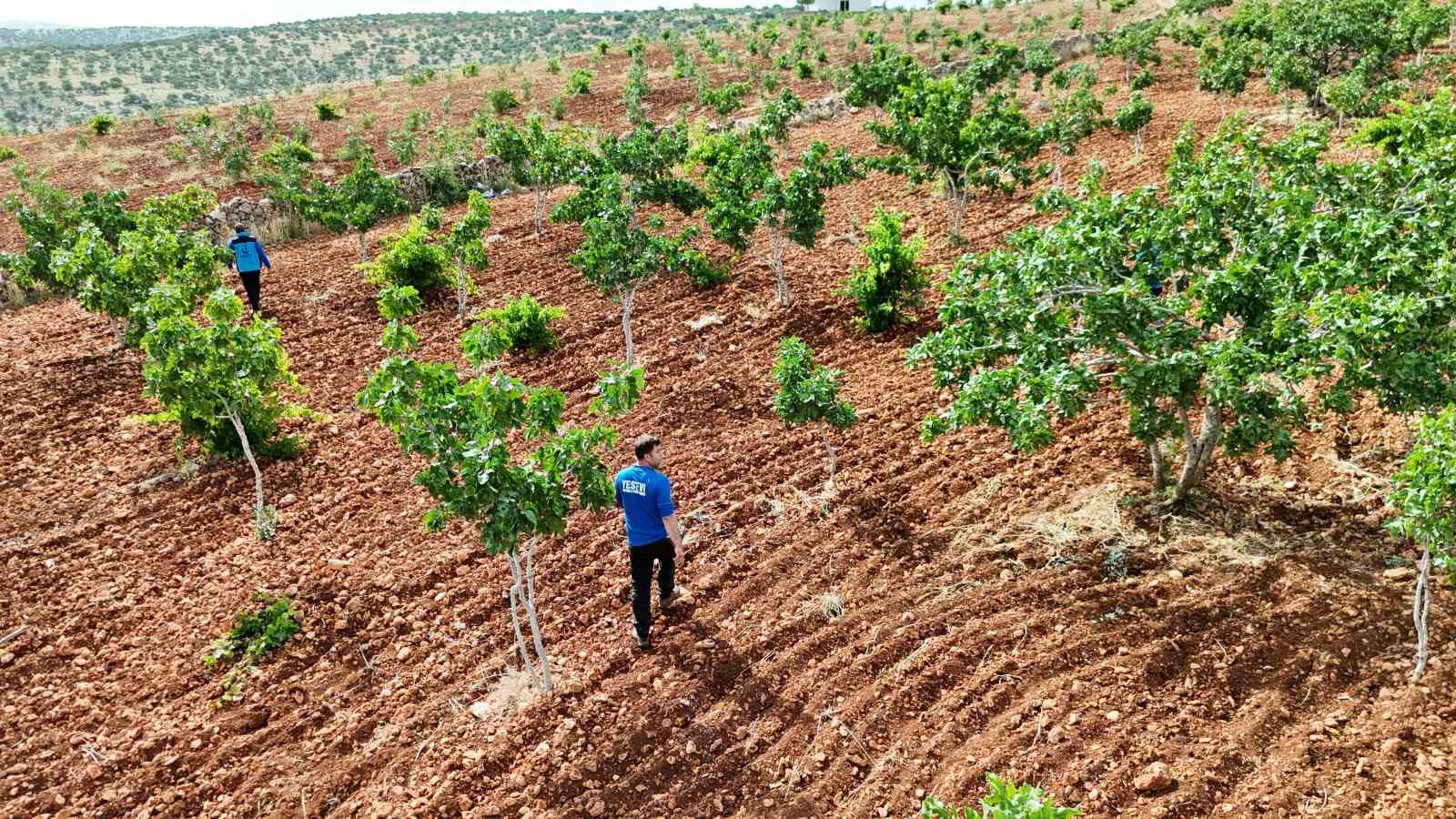Gaziantep’te kaybolan Onurcan’ı arama çalışmaları havadan ve karadan devam ediyor 