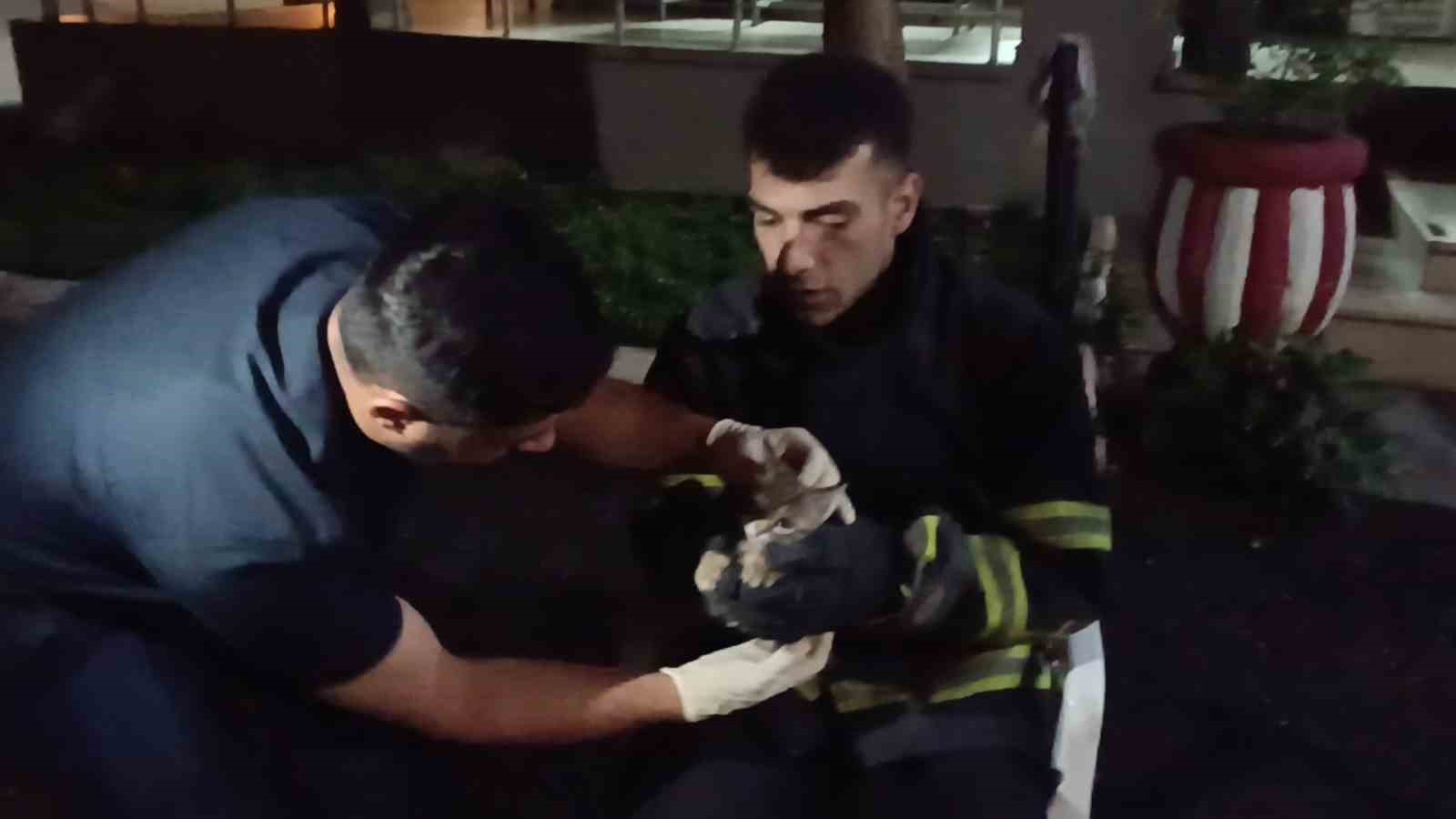 Ağaçta mahsur kalan kedi itfaiye ekibi tarafından kurtarıldı 