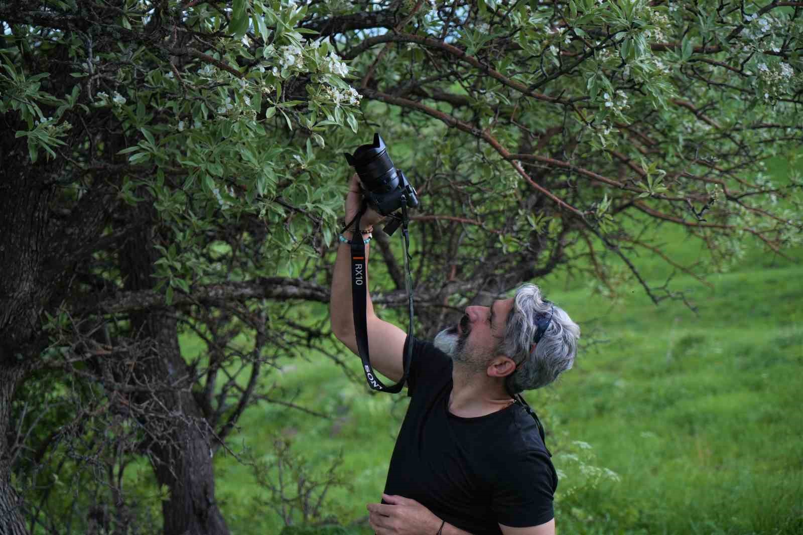 Muş’un 110 bin ahlat ağacı görsel şölen sunuyor 