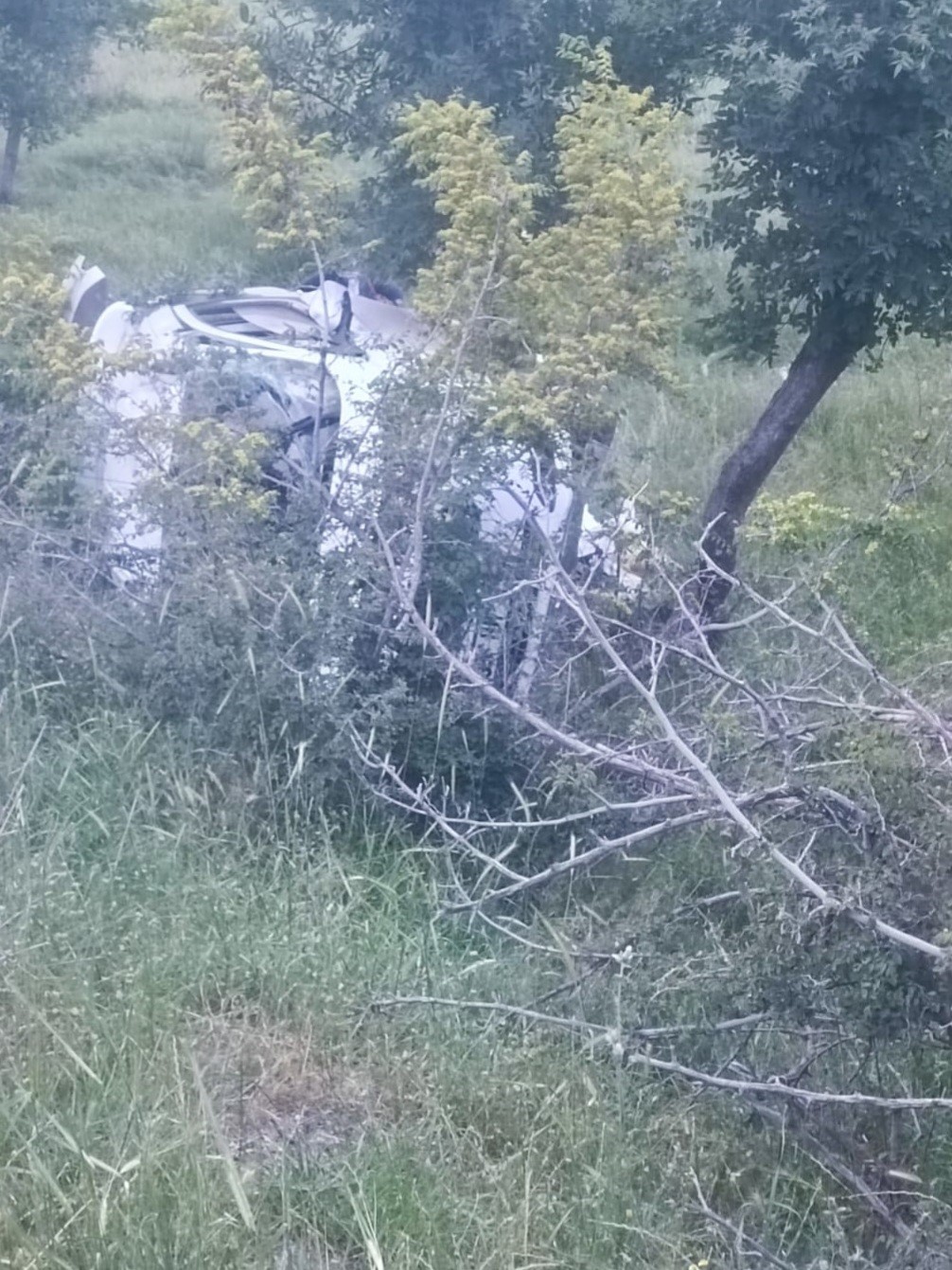 Siirt’te otomobil devrildi: 1 yaralı
