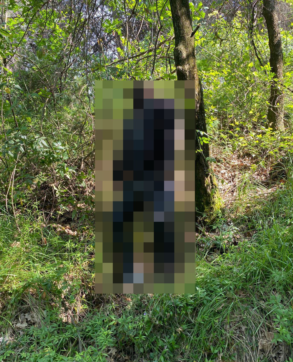 Yalova’da kayıp şahıs ormanlık alanda ölü bulundu 