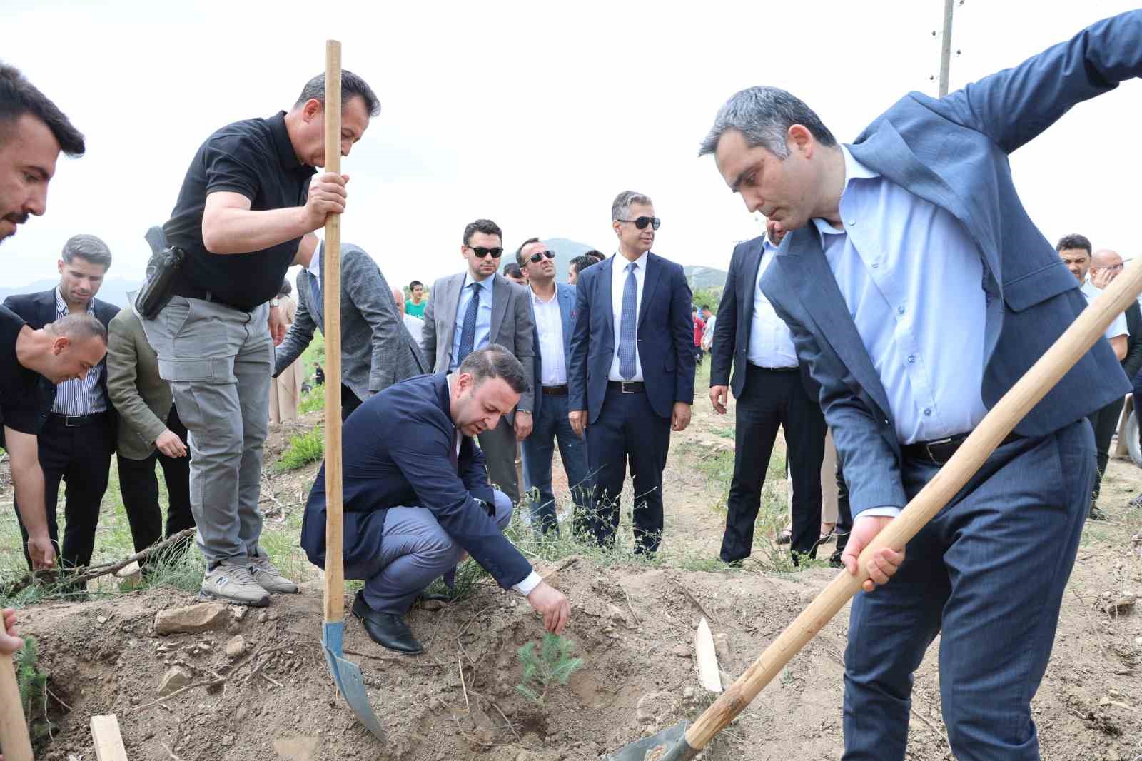 Hakim, savcı ve hükümlüler yanan ormanı yeşertmek için fidan dikti 