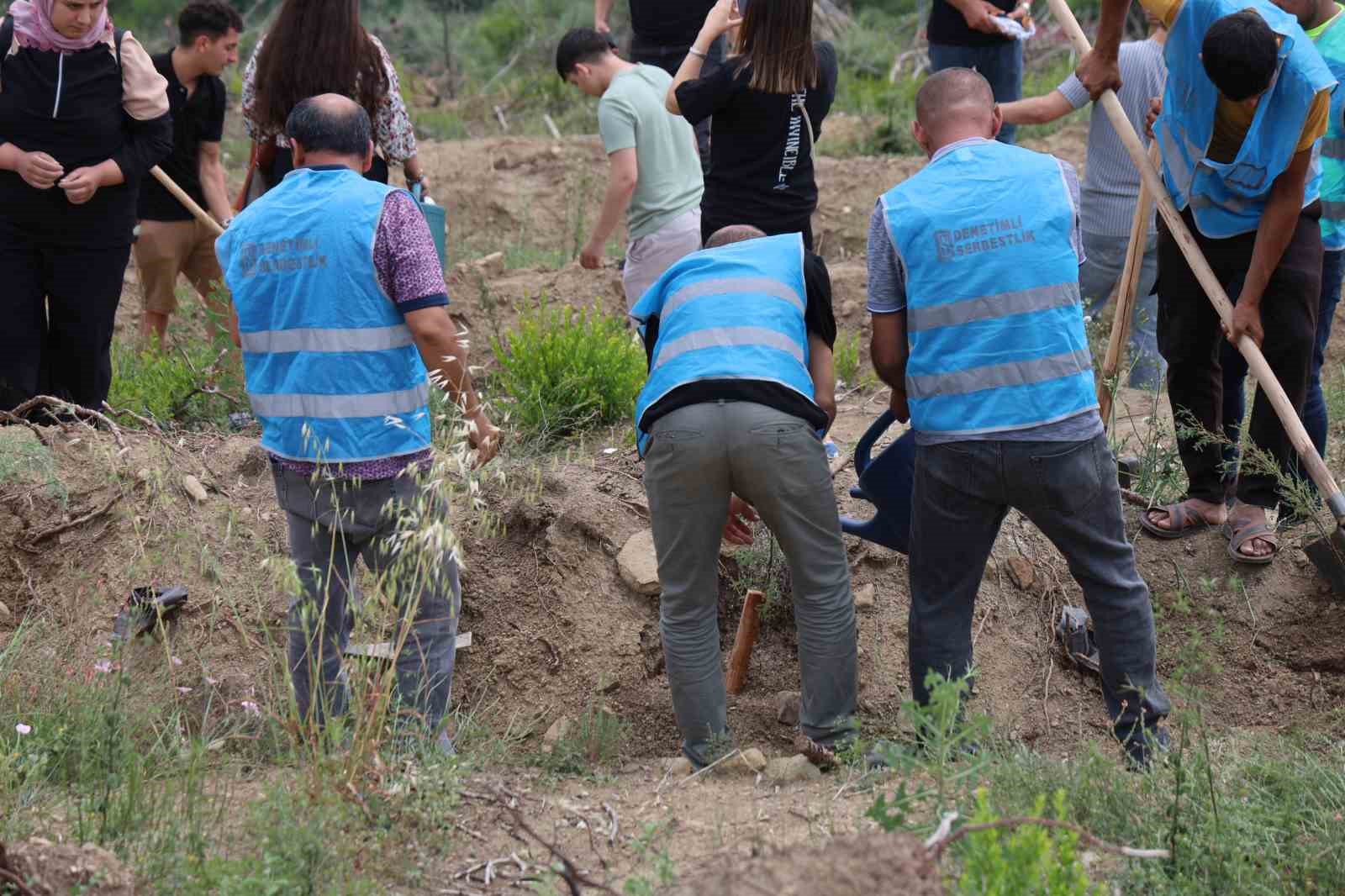 Hakim, savcı ve hükümlüler yanan ormanı yeşertmek için fidan dikti 