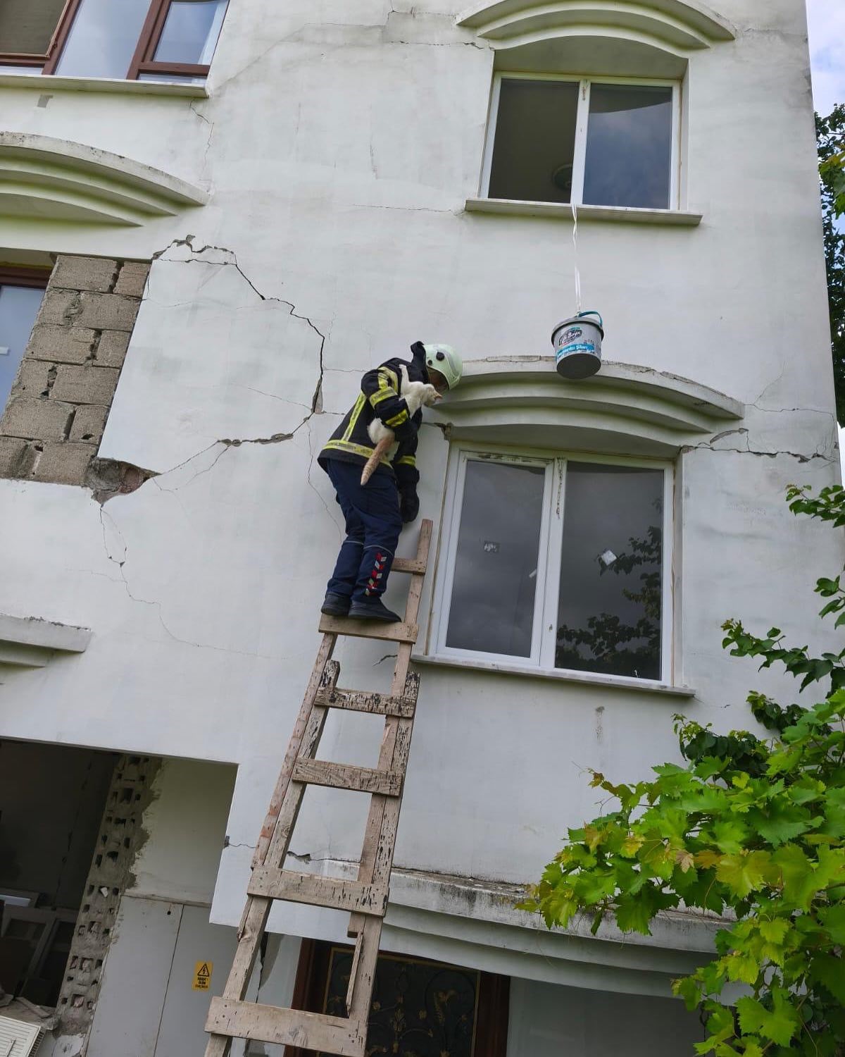 Hasarlı binada kedi kurtarma operasyonu 
