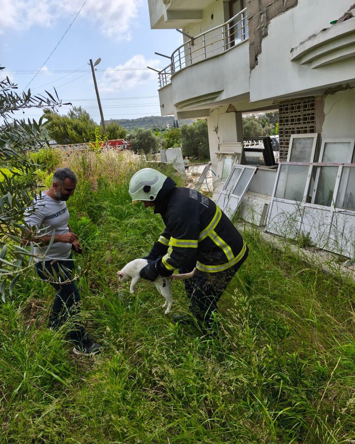 Hasarlı binada kedi kurtarma operasyonu 