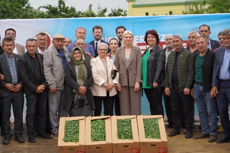 Son üç yılda 1 milyon 700 bin fide dağıtıldı 