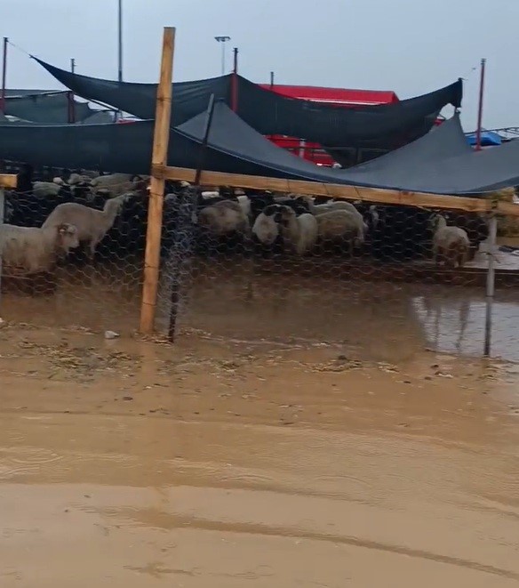Torbalı’da yağışın ardından kurban pazarını su bastı 