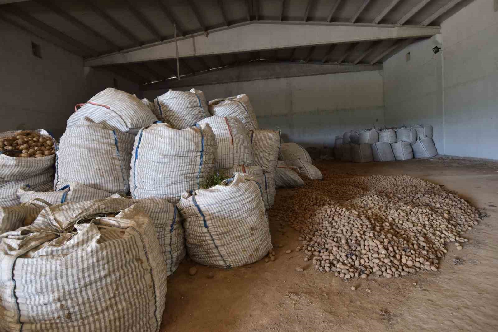 Ahlat’ta binlerce ton patates alıcı bekliyor 