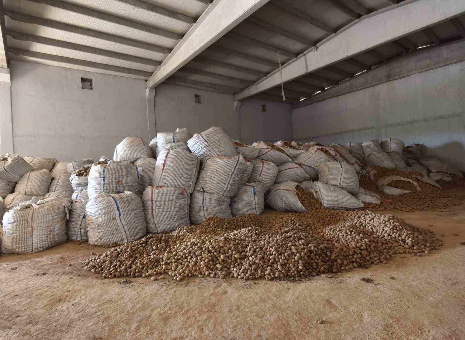 Ahlat’ta binlerce ton patates alıcı bekliyor 
