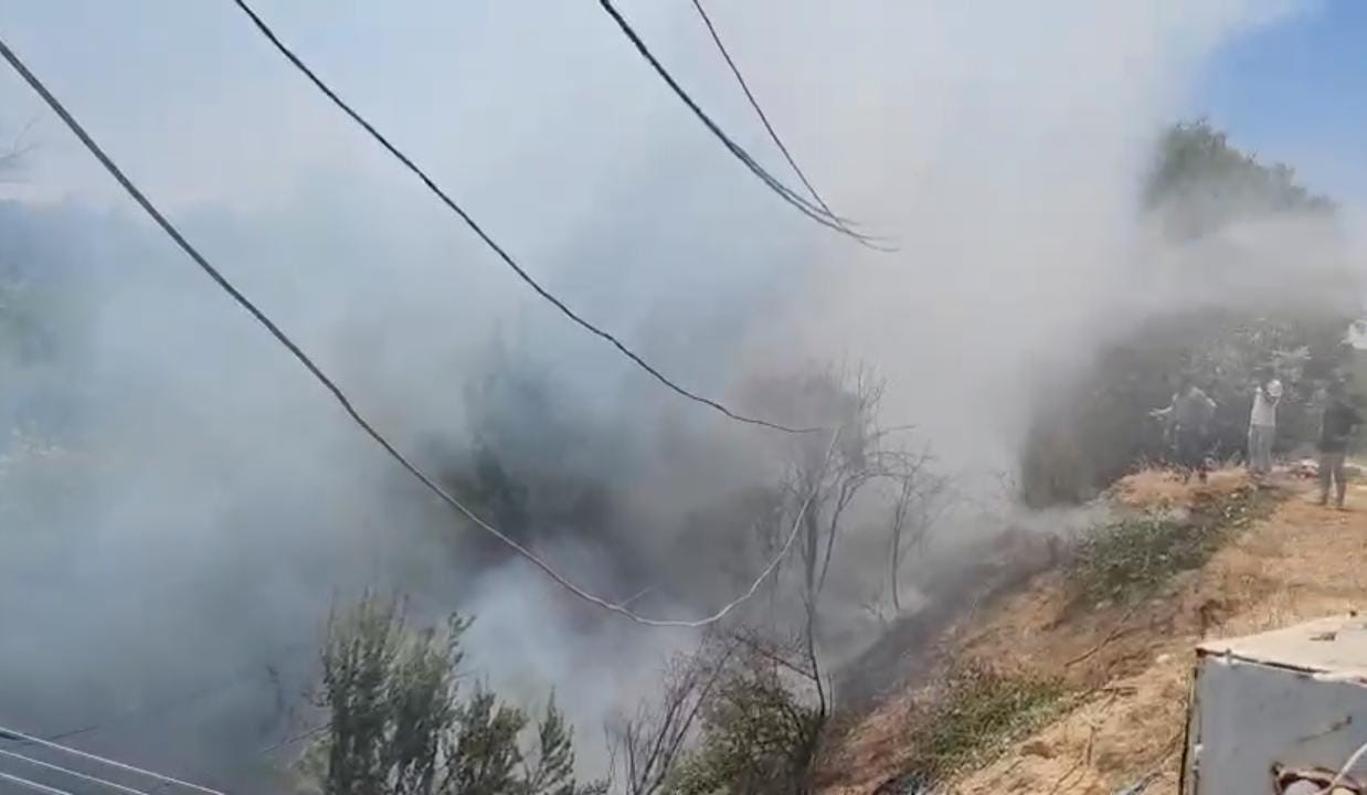 Sigara izmaritleri yangınlara neden oldu 