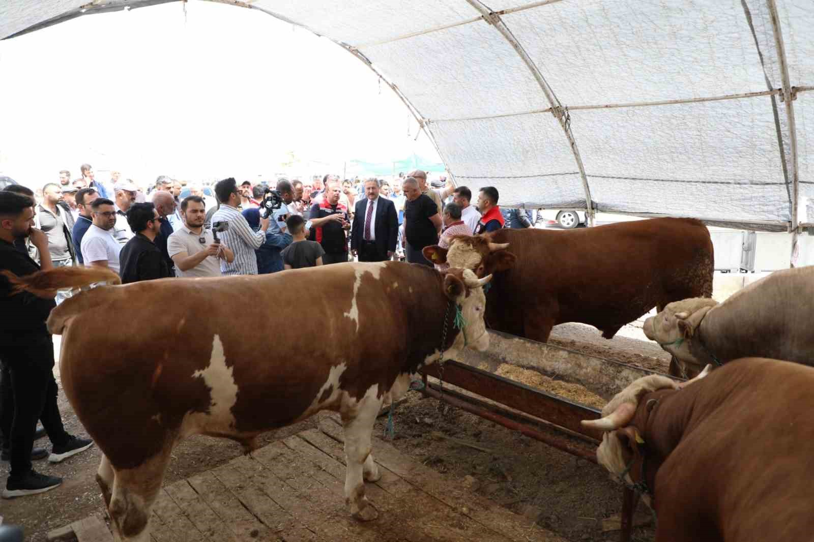 Melikgazi’de Kurban Pazar Yerleri hazır 