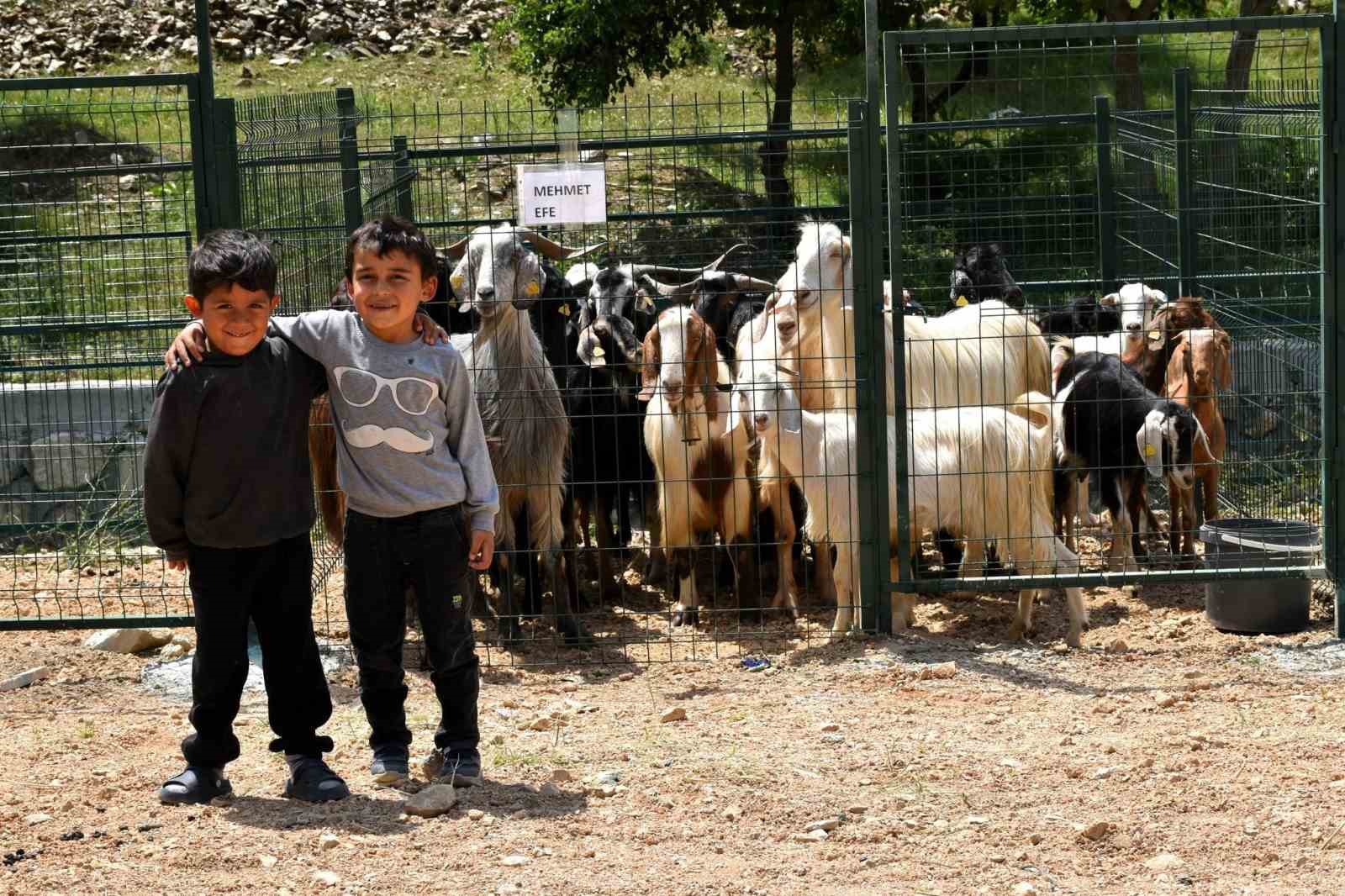 Başkan Durgut’tan hayvan pazarında Kurban Bayramı öncesi inceleme 