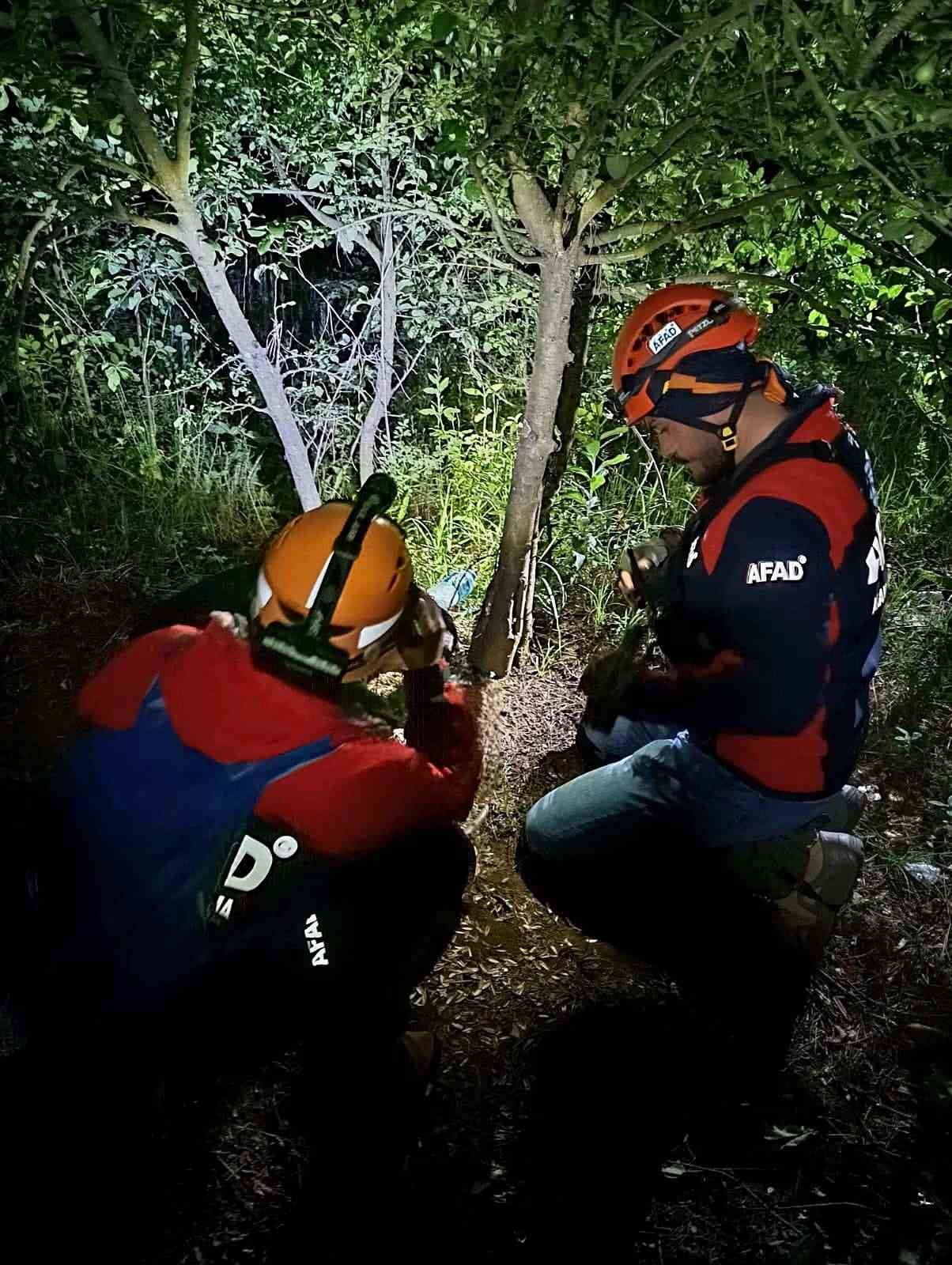 Yalova’da kayıp vatandaş ormanda ölü bulundu