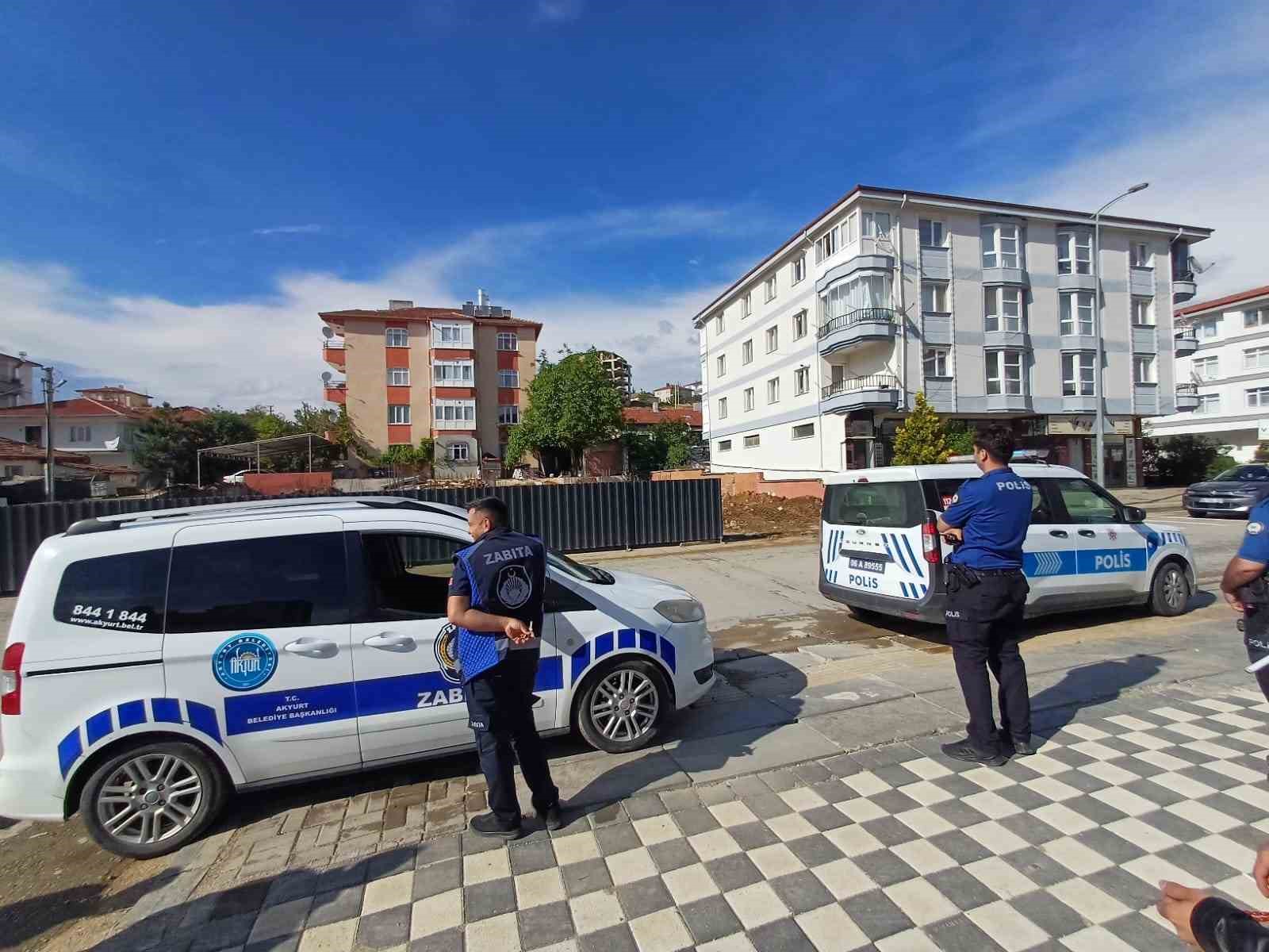 Ankara’da kaçan dana yaşlı kadını yaraladı