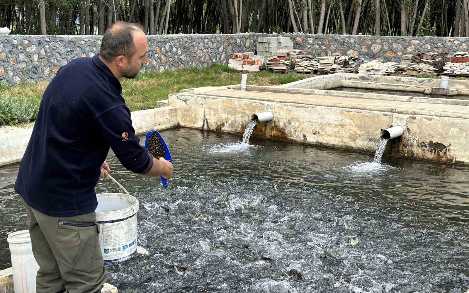 Malatya’da alabalık üretimi katlanarak arttı 