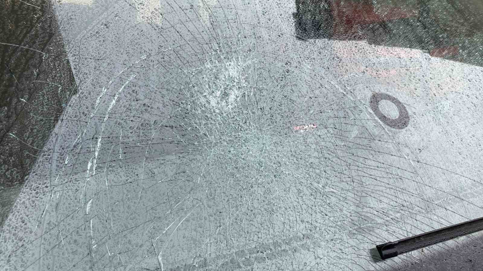 Karayolundaki karacayı telefonu ile kayda alırken bunun olacağını hiç aklına getirmedi 