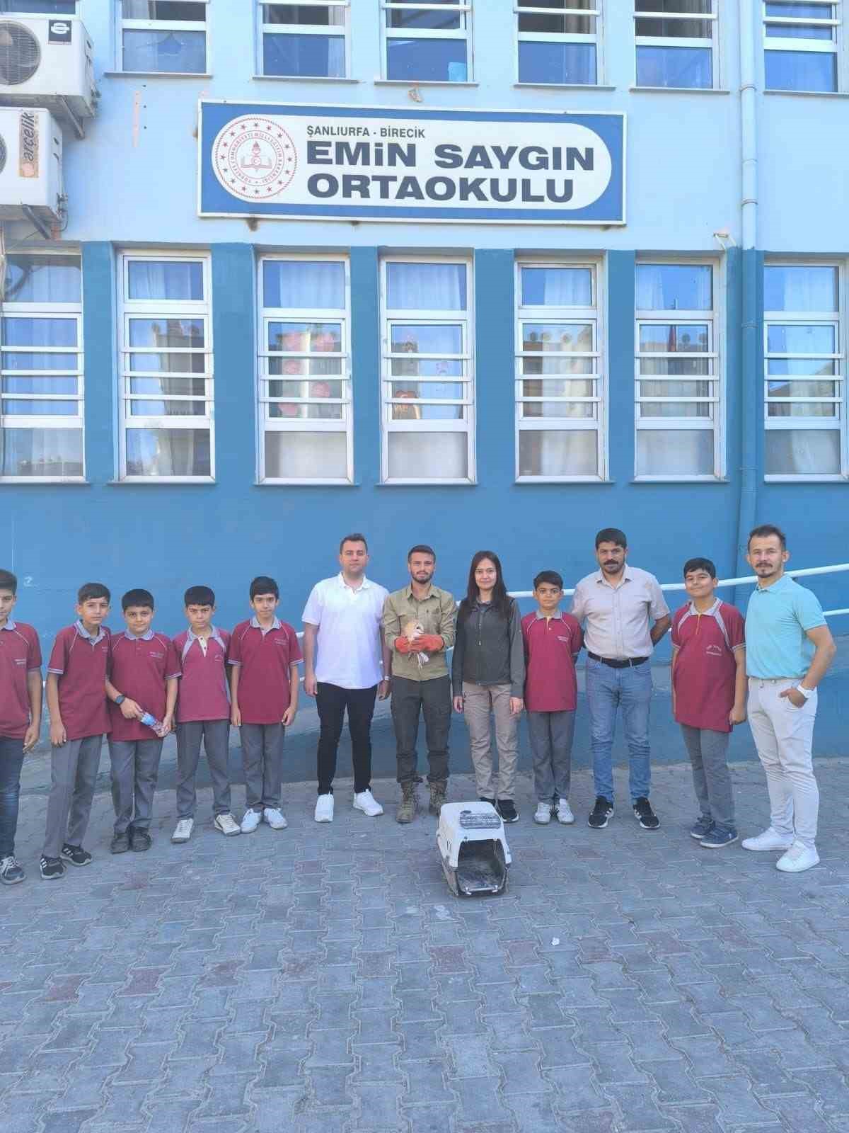 Şanlıurfa’da bitkin halde bulunan peçeli baykuş tedavisinin ardından doğaya salındı 