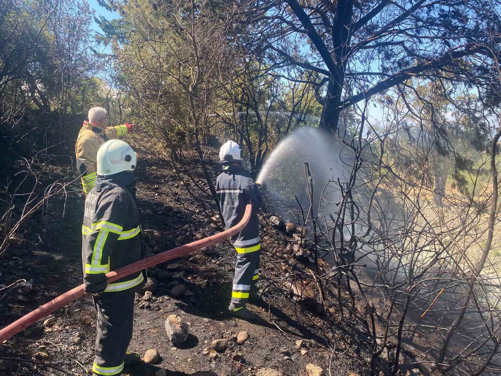 Hatay’daki orman yangını söndürüldü 