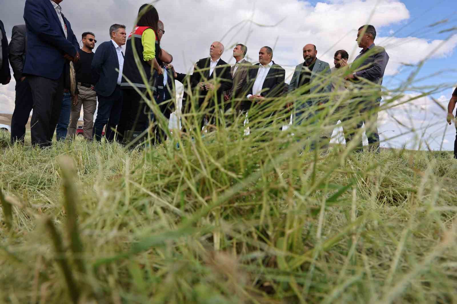 TZOB Başkanı Bayraktar: 