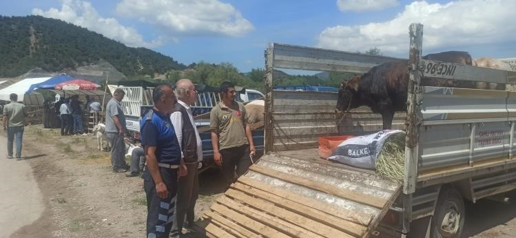 Kurban Bayramı öncesi hayvan pazarı denetimleri sürüyor 