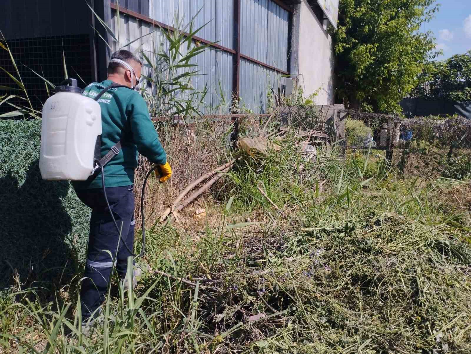 Bursa Büyükşehir, Kurban Bayramı’na hazır 