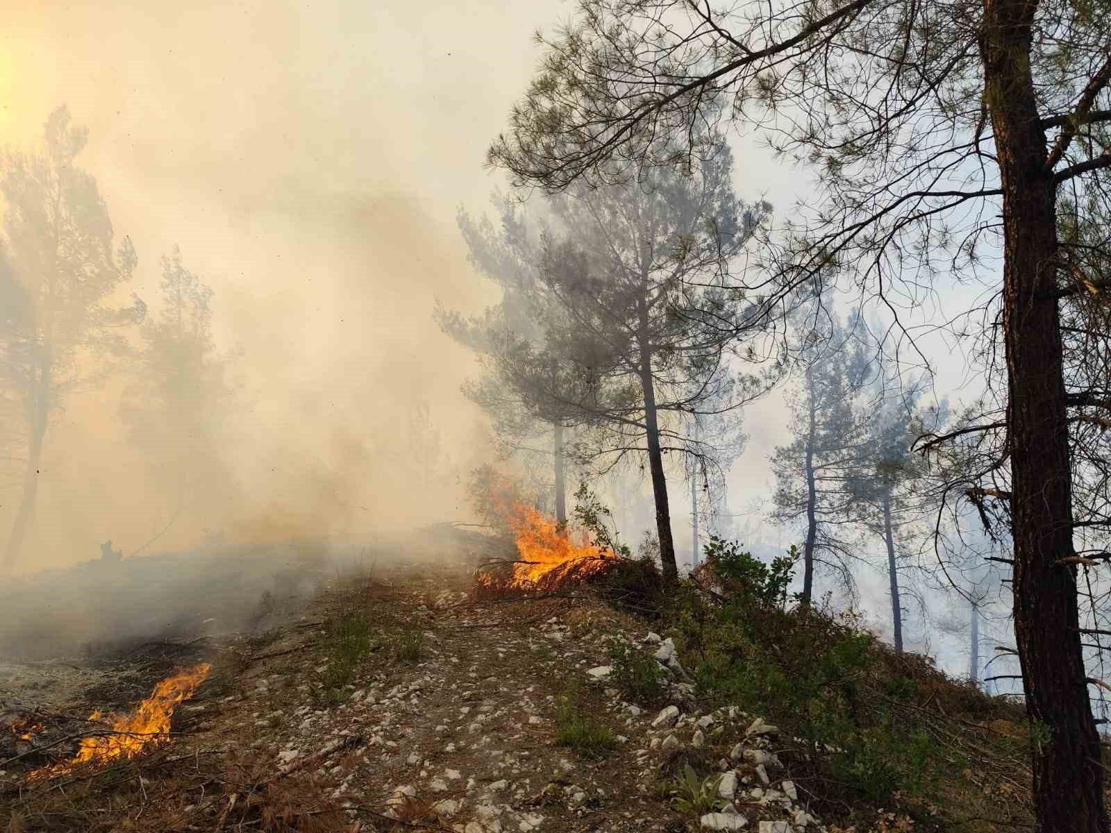 Dursunbey’de orman yangını 