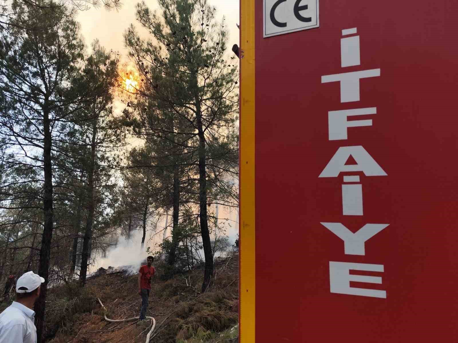 Dursunbey’de orman yangını 
