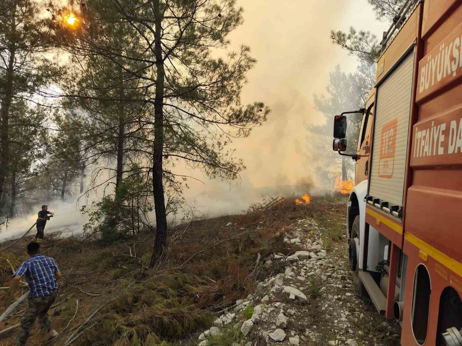 Dursunbey’de orman yangını 