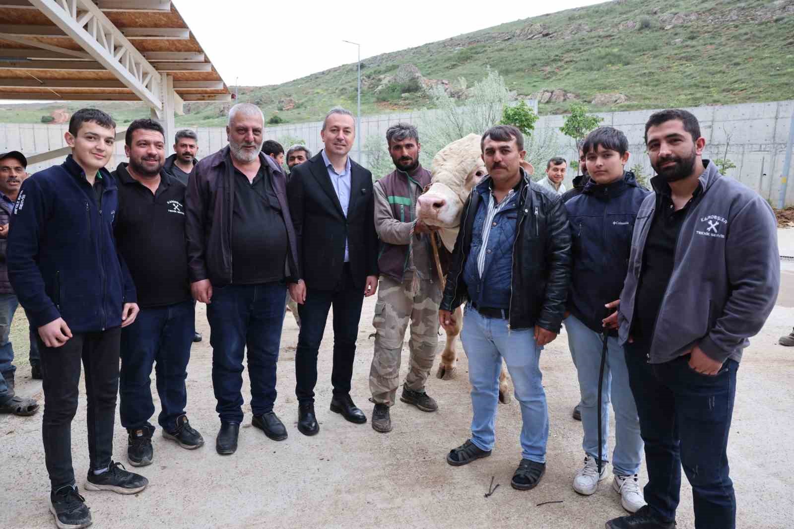 Sivas Belediyesi’nden modern kurban pazarı hizmeti 