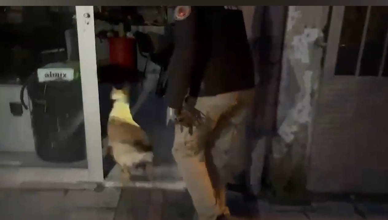 Narkotik köpeği ETA, zehir tacirlerine göz açtırmıyor 