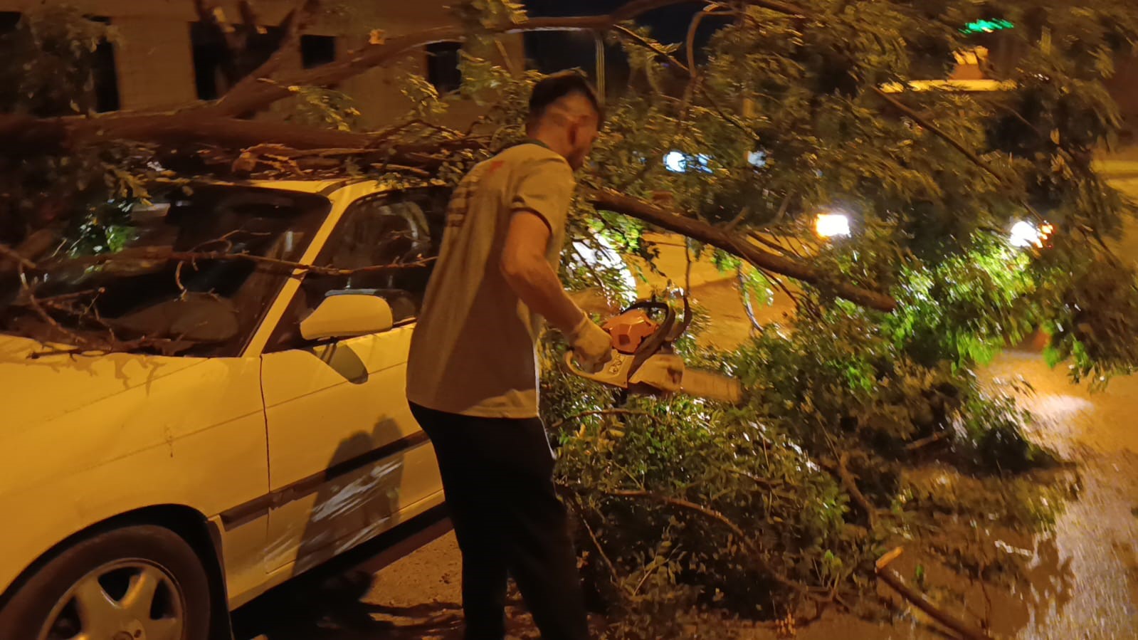 Park halindeki otomobilin üzerine ağaç devrildi 