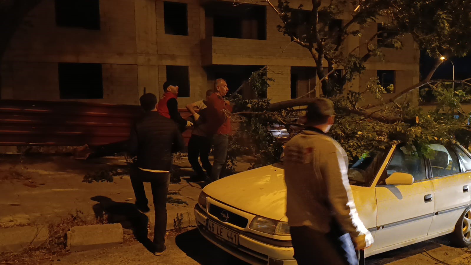 Park halindeki otomobilin üzerine ağaç devrildi 