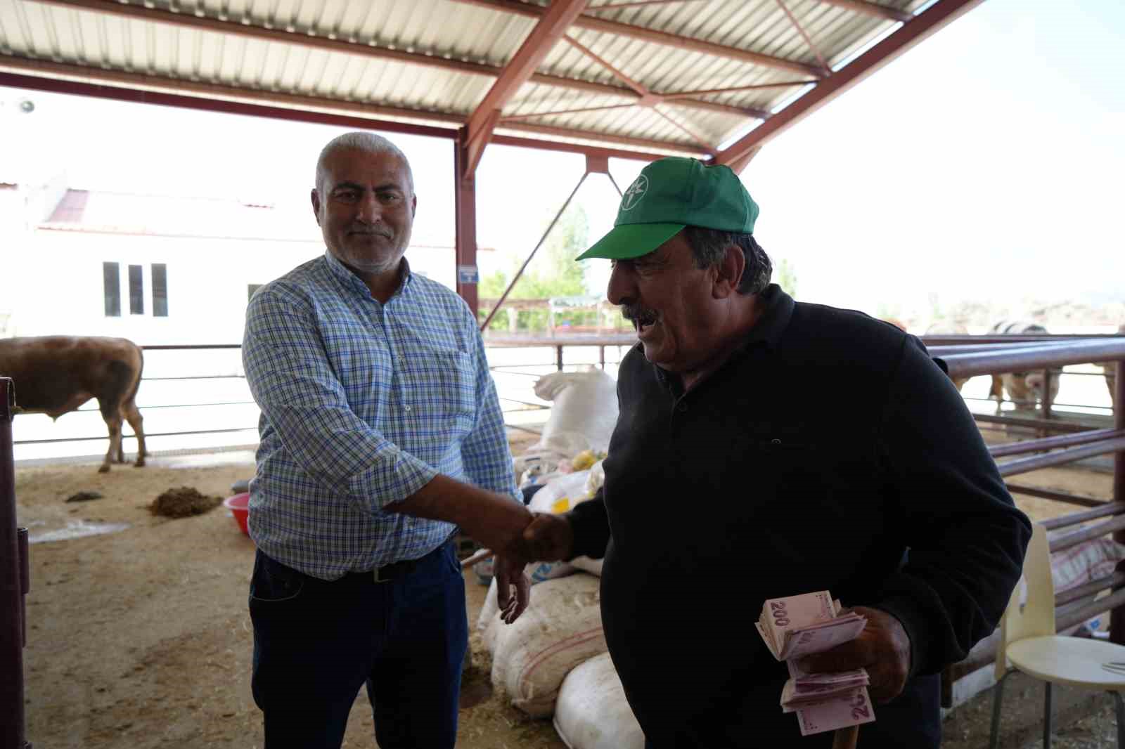 Erzincan’da Kurban Bayramı hareketliliği başladı: Hayvan pazarı sıkı pazarlıklara sahne oldu 