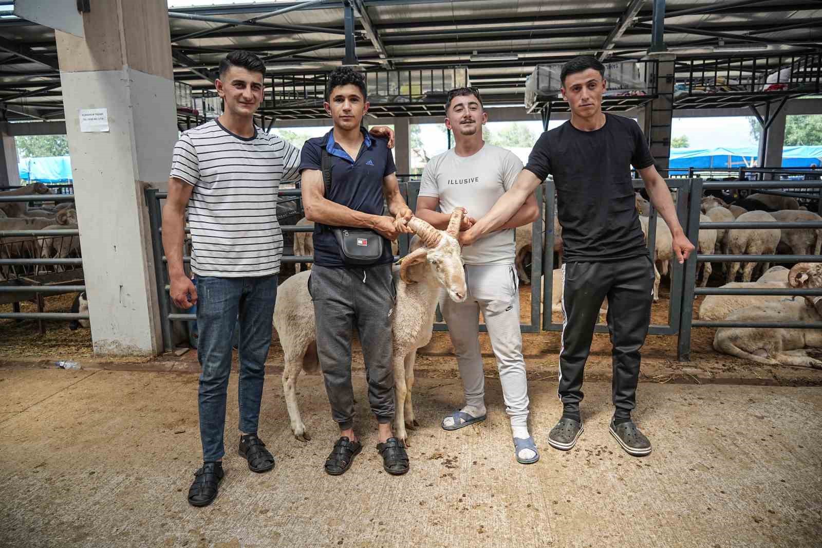 Kurban pazarının gözdesi...4 boynuzlu koçu görenler şaşırıyor 