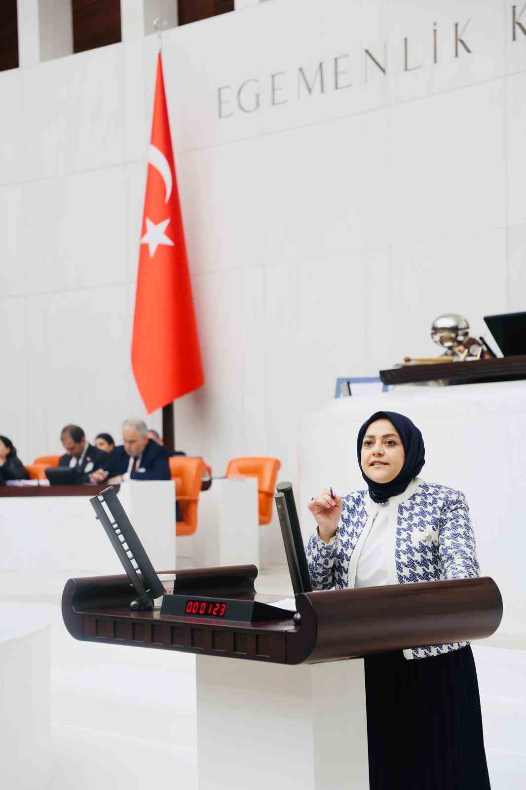Milletvekili Ün; 