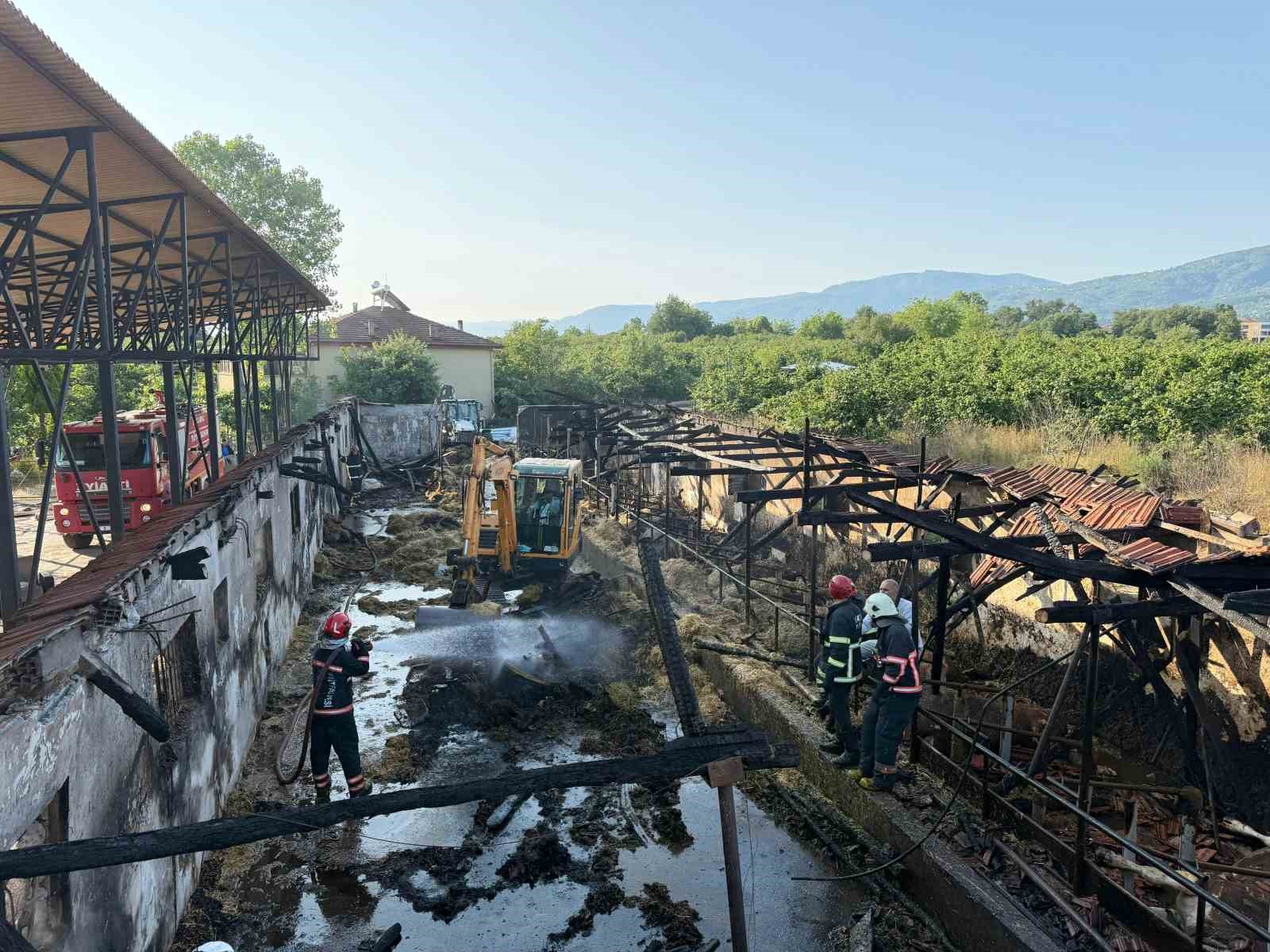 Bayrama iki gün kala yürek yakan yangın: Kurbanlıklar telef oldu 