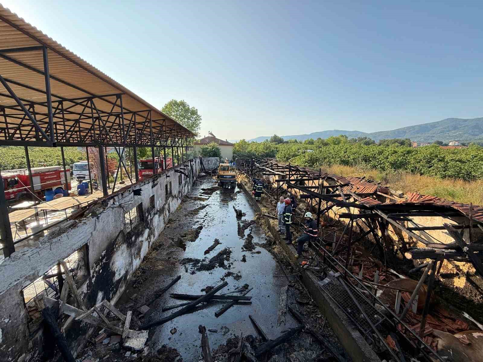 Bayrama iki gün kala yürek yakan yangın: Kurbanlıklar telef oldu 