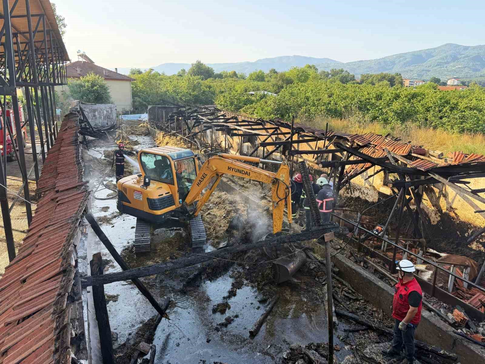 Bayrama iki gün kala yürek yakan yangın: Kurbanlıklar telef oldu 